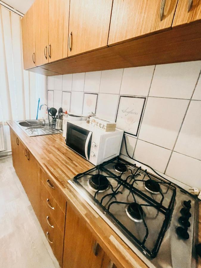 Ultracentral Big Apartment - Near The Opera Square P17 Timisoara Exterior photo